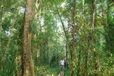 Petani di Katingan Kalteng...