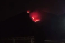 Kobaran Api Lalap Hutan...