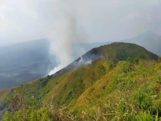 Polisi Selidiki Penyebab...