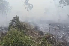 Karhutla Meluas, Kebun...