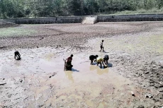 Gunungkidul Darurat...