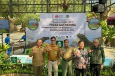 6 Ekor Komodo Dilepaskan...