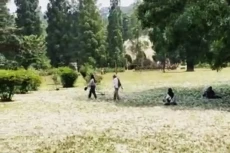 Momen Langka Salju Kapuk...