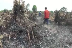 Lahan 3 Hektare di Banyuasin...