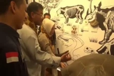 Jejak Kehidupan Purba...