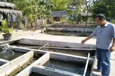 Bacaleg Perindo Yogyakarta...