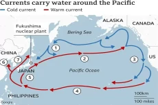 Alasan Jepang Buang...