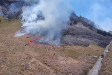 Kebakaran Hutan TNBTS...