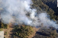 Gunung Arjuno Terbakar,...