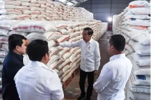 Harga Beras Bikin Waswas,...