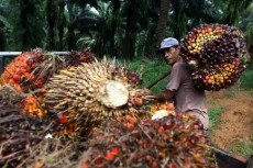 Peringati Hari Tani...