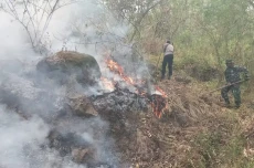 27 Hektare Lahan Hutan...