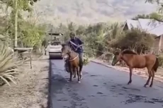 Viral Pria Berkuda Terobos...