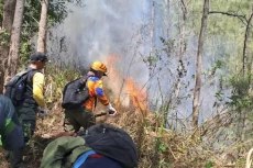 Penampakan Kebakaran...