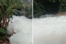 DLHK Masih Telusuri...