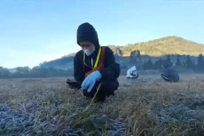 Dampak El Nino, Intensitas...