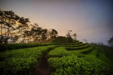 7 Rekomendasi Wisata...