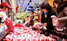 Harga Daging Babi Anjlok,...
