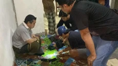 Gerebek Rumah Pengedar...
