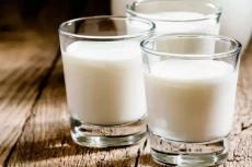 Susu Kambing Lebih Sehat...