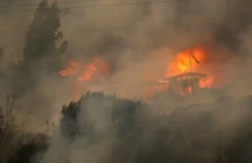 Kebakaran Hutan di Chile...