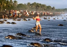 7 Negara dengan Pantai...