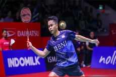 Daftar Wakil Indonesia...
