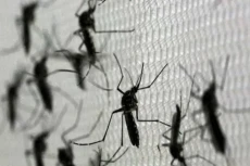 Waspada! Ratusan Warga...