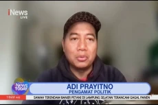 Pengamat: Pengalihan...