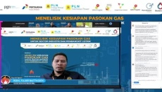 Pasokan Melimpah, Konsumen...