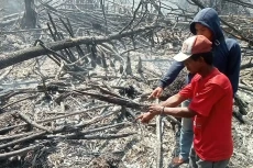 Bakar Lahan untuk Kebun...