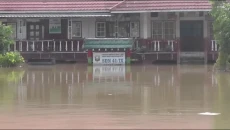 Banjir Terjang Muarojambi,...