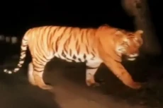Jangan Salah, Ini Perbedaan...