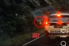Viral Mobil Dishub Pelat...