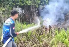 Kebakaran Lahan Gambut...