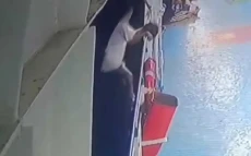 Viral! Video CCTV Merekam...