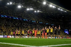 Edin Terzic: Borussia...