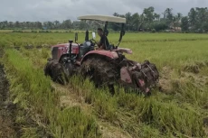 Lahan Rawa di Banyuasin...