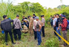 Misteri Tengkorak Kebon...