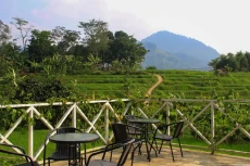 Pusat Informasi Wisata...