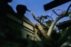 Hujan Es Guyur Depok...