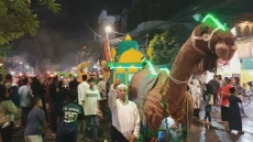 Onta Berjanggut Bela...