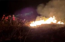 Hektaran Lahan di Sleman...
