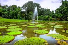 7 Tempat Wisata di Bogor...