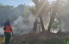 Terjadi 18 Kebakaran...