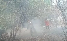 Puluhan Hektare Perkebunan...