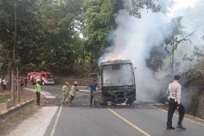 Bus MGI Jurusan Palabuhanratu...