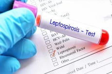 Mengenal Leptospirosis,...