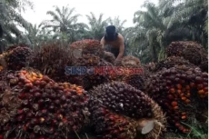 Sejumlah Masalah yang...