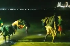 Heboh Ribuan Ikan Lompat...